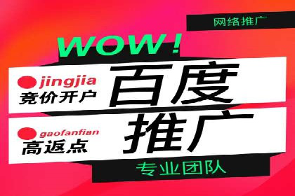 案例解读：百度SEM助力企业实现低成本引流